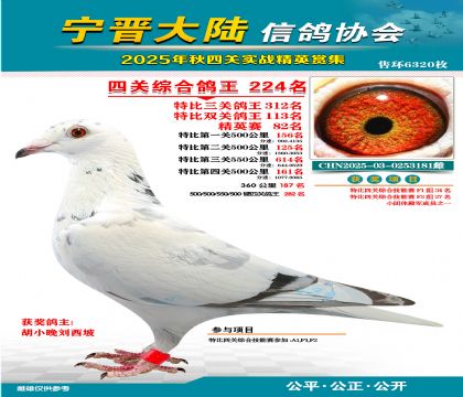 大陸特比四關(guān)鴿王224名