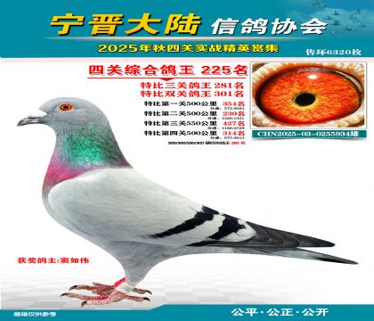 大陸特比四關(guān)鴿王225名