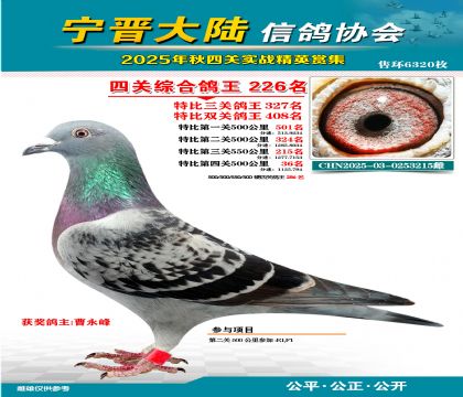 大陸特比四關(guān)鴿王226名