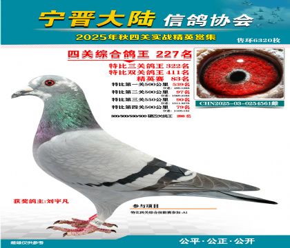 大陸特比四關(guān)鴿王227名