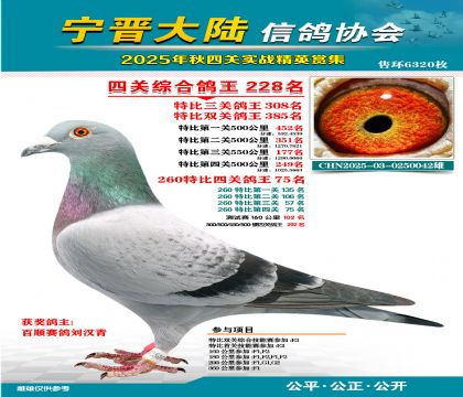 大陸特比四關(guān)鴿王228名