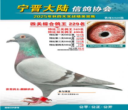 大陸特比四關(guān)鴿王229名