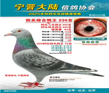大陸特比四關(guān)鴿王230名