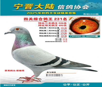 大陸特比四關(guān)鴿王231名
