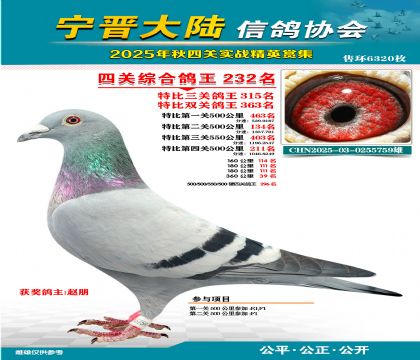 大陸特比四關(guān)鴿王232名