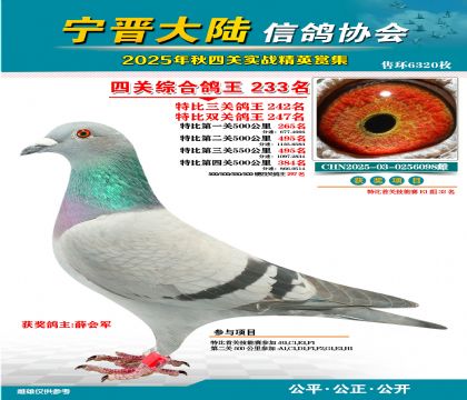 大陸特比四關(guān)鴿王233名