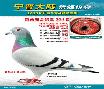 大陸特比四關(guān)鴿王234名