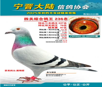 大陸特比四關(guān)鴿王236名
