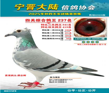 大陸特比四關(guān)鴿王237名