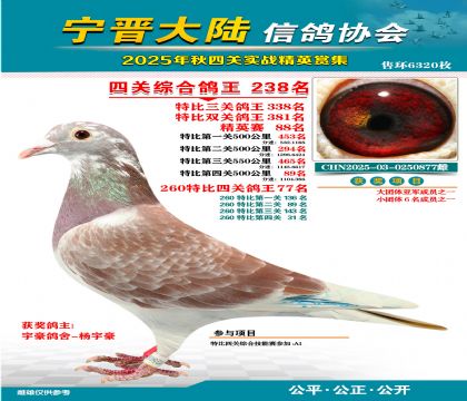 大陸特比四關(guān)鴿王238名