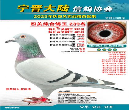 大陸特比四關(guān)鴿王239名