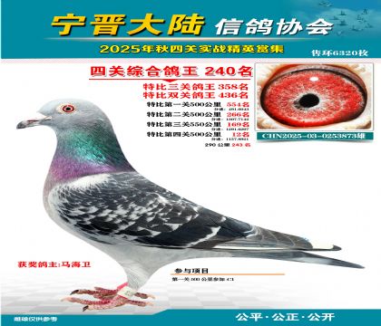 大陸特比四關(guān)鴿王240名