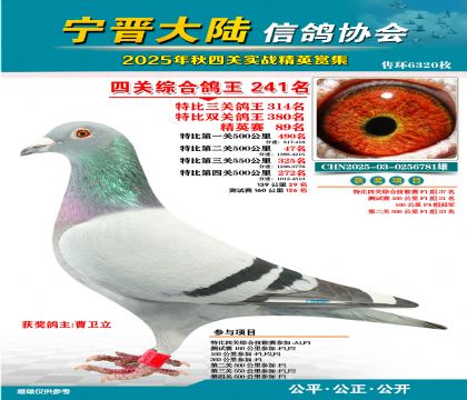 大陸特比四關(guān)鴿王241名