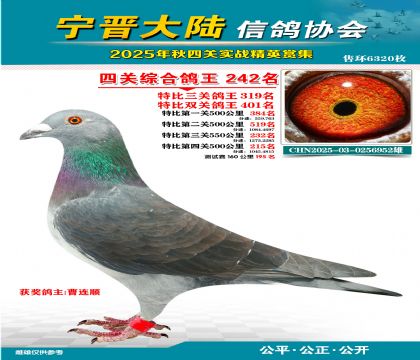 大陸特比四關(guān)鴿王242名