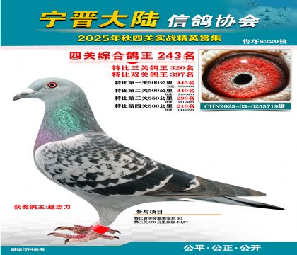 大陸特比四關(guān)鴿王243名