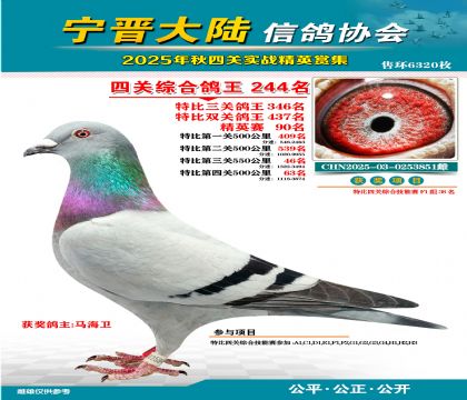 大陸特比四關(guān)鴿王244名