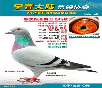 大陸特比四關(guān)鴿王245名