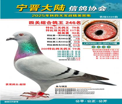 大陸特比四關(guān)鴿王246名