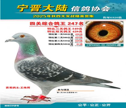 大陸特比四關(guān)鴿王247名