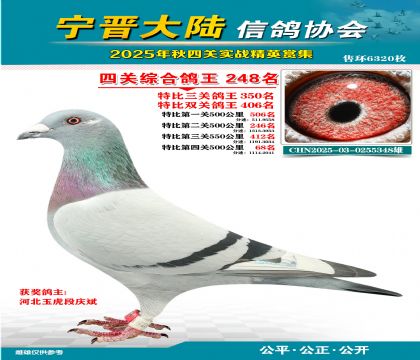 大陸特比四關(guān)鴿王248名