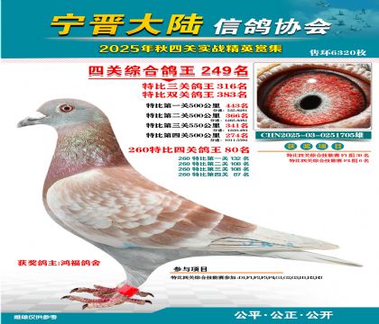 大陸特比四關(guān)鴿王249名