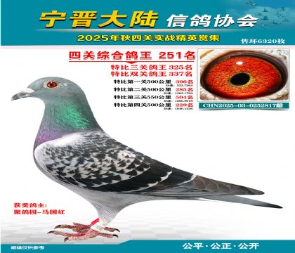 大陸特比四關(guān)鴿王251名
