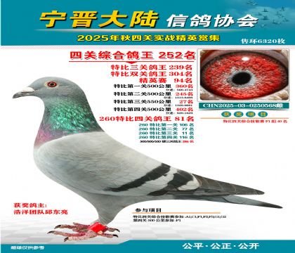 大陸特比四關(guān)鴿王252名