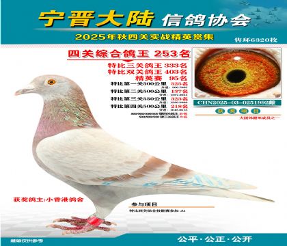 大陸特比四關(guān)鴿王253名