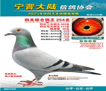 大陸特比四關(guān)鴿王254名