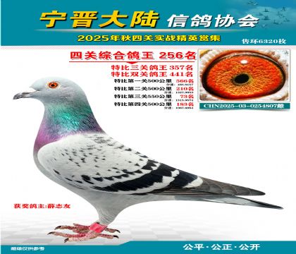 大陸特比四關(guān)鴿王256名
