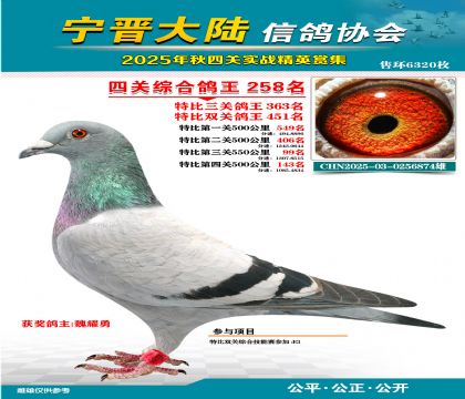 大陸特比四關(guān)鴿王258名