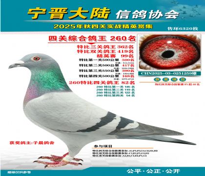 大陸特比四關(guān)鴿王260名