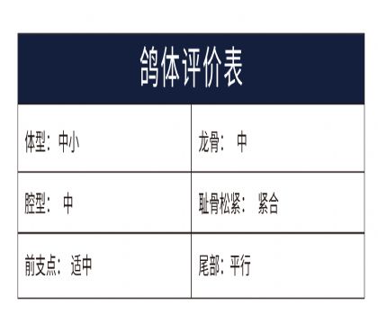 0771362�y(c��)�u(p��ng)