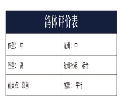 0553614�y(c��)�u(p��ng)