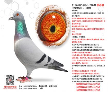 ���ҹ�ڡ��}��