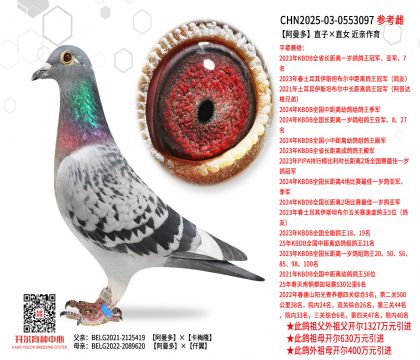 ������ֱ�ӡ�ֱŮ  ���H����