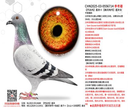 �R�_��(n��i)ֱ�O�����W�ֱ̖�OŮ