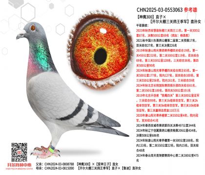 ����300ֱ�ӡ��_���������P������܊ֱ�OŮ