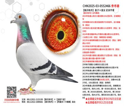 ���W�ֱ̖�ӡ�ֱŮ ���H����