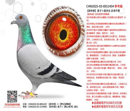 �ӊZ��ֱ�ӡ�ֱ�OŮ ���H����