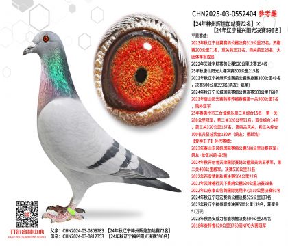 24�������x�ͼ�վِ72����24���|�����dꖹ�Qِ596��