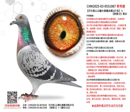 �_�����Ĺ������Qِ207����ҹ�TʿֱŮ