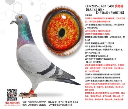 ħ�gŮ��ֱ�O��24����ɽ�᠖ɭ�Qِ373��