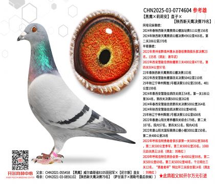 �����������򰲡�ֱ�ӡ�����������Qِ79��