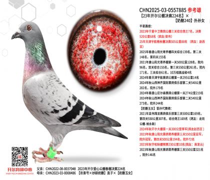 23���_������Qِ224��������240��OŮ