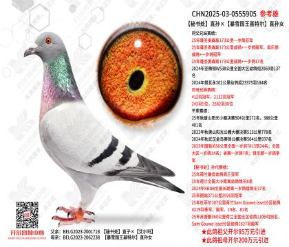 �ؕ�ֱ̎�O����ѩ�������ؠ�ֱ�OŮ