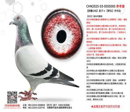 ����240ֱ�ӡ��}����OŮ