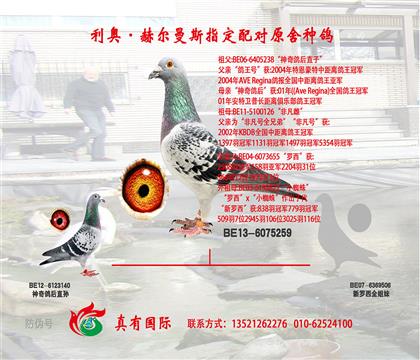 国家赛亚军之父