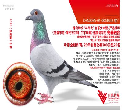 ţȮ ƽ݅Ѫϵ25-0061842