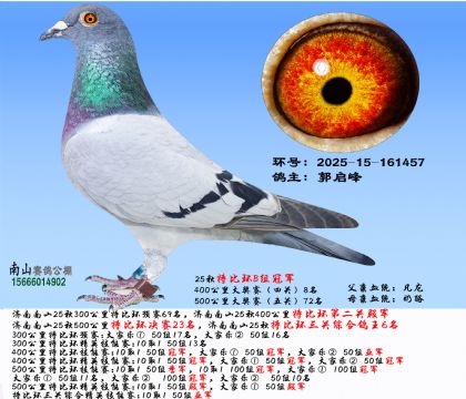 رȭh(hun)QِBM܊رȭh(hun)P(gun)C6